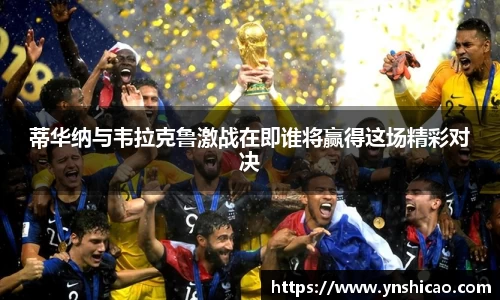 智博19有限公司