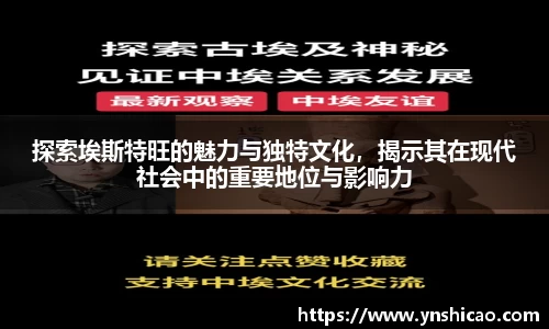 智博19有限公司