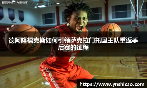 智博19有限公司