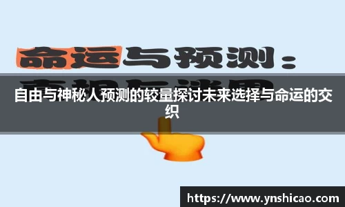 智博19有限公司