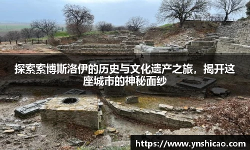 智博19有限公司