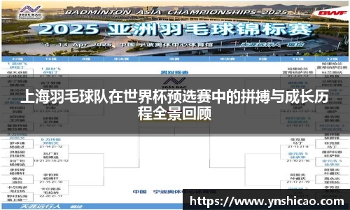 智博19有限公司