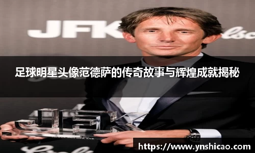 足球明星头像范德萨的传奇故事与辉煌成就揭秘